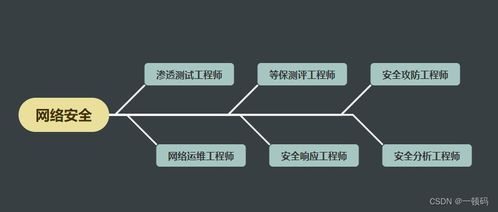 想入行網絡安全行業？別急，先看了這篇文章再說 網絡與信息安全軟件開發之路